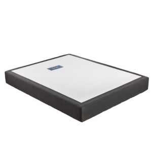 Base RENÉE piombo gris EPEDA