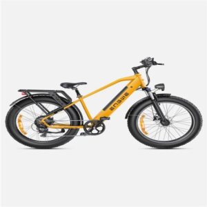 Descubre la Bicicleta Eléctrica ENGWE E26 - 250W, 768WH en España